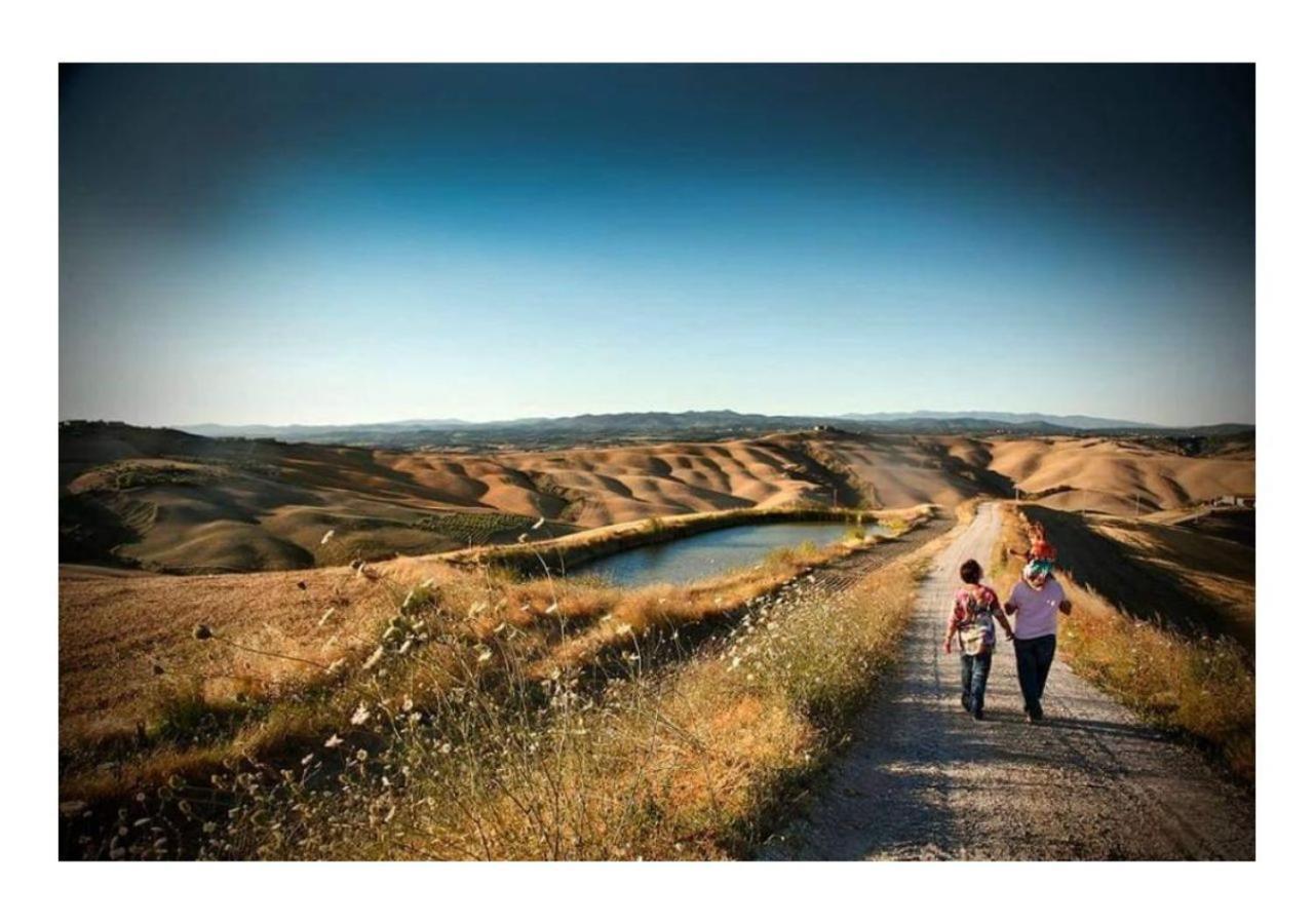 Agriturismo Le Crete - Appartamenti Asciano Eksteriør billede