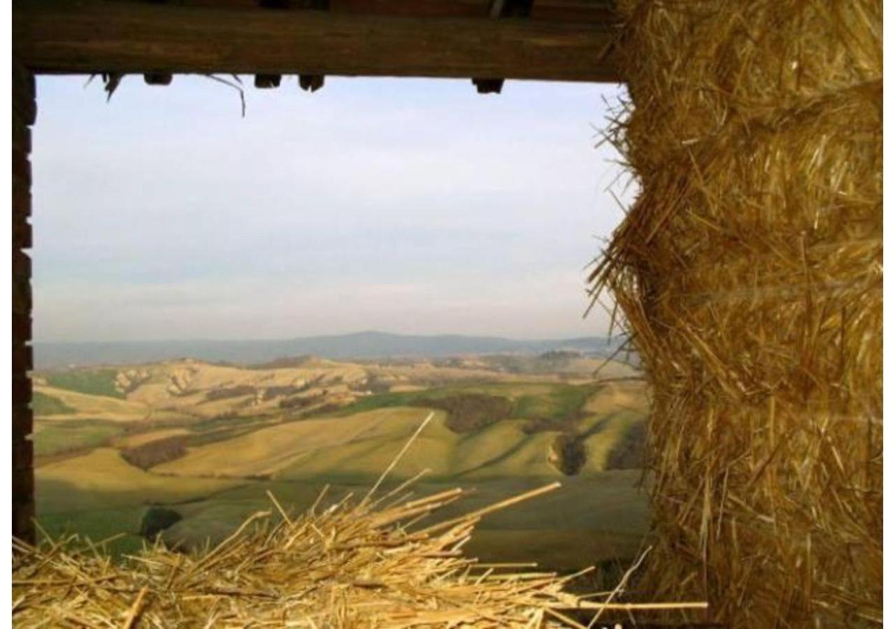 Agriturismo Le Crete - Appartamenti Asciano Eksteriør billede
