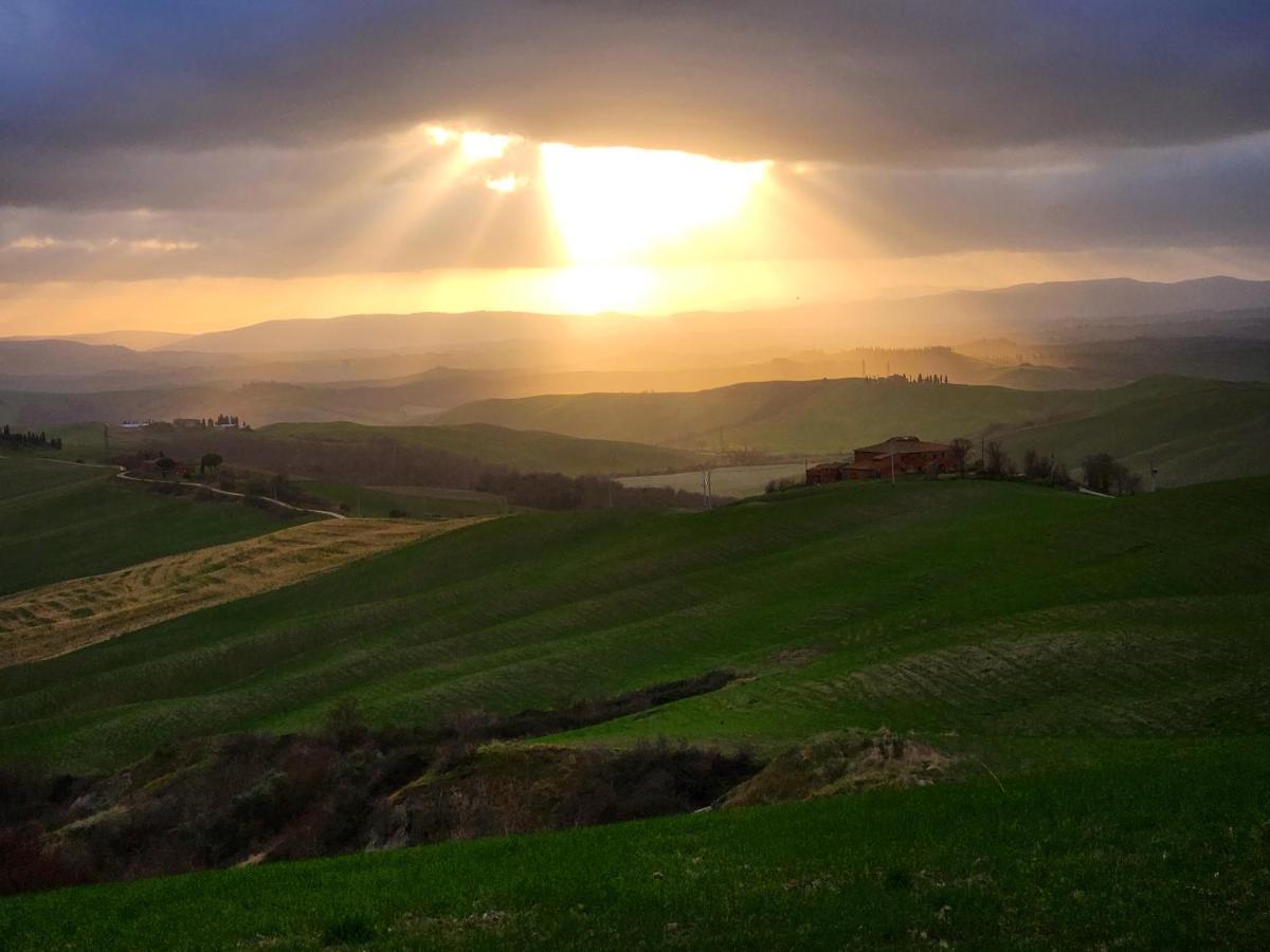 Agriturismo Le Crete - Appartamenti Asciano Eksteriør billede